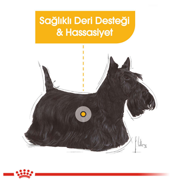 Royal Canin Mini Dermacomfort Köpek Maması 3 Kg