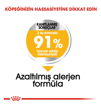 Royal Canin Mini Dermacomfort Köpek Maması 3 Kg