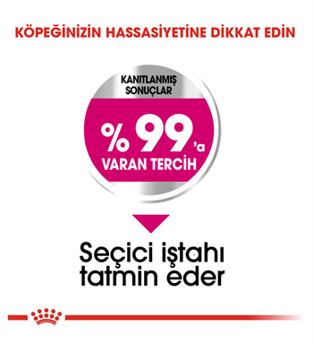 Royal Canin Mini Exigent Köpek Maması 3 Kg