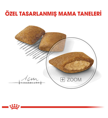 Royal Canin Mini Exigent Köpek Maması 3 Kg