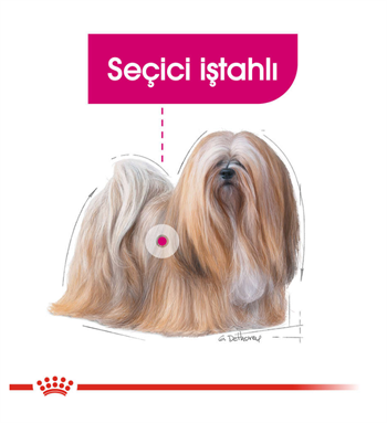 Royal Canin Mini Exigent Köpek Maması 3 Kg