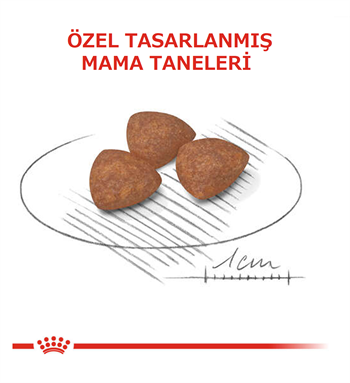 Royal Canin Mini Puppy Küçük Irk Yavru Köpek Maması 4 Kg