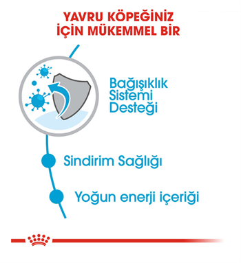 Royal Canin Mini Puppy Küçük Irk Yavru Köpek Maması 4 Kg
