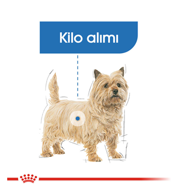 Royal Canin Mini Light Küçük Irk Kilolu Yetişkin Köpek Maması 3 Kg