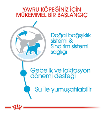Royal Canin Mini Starter Küçük Irk Yavru ve Anne Köpek Maması 3 KG