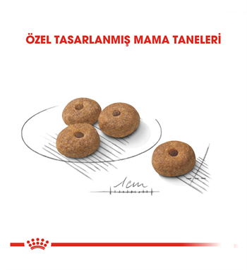 Royal Canin Mini Sterilised Küçük Irk Kısırlaştırılmış Köpek Maması 3 Kg