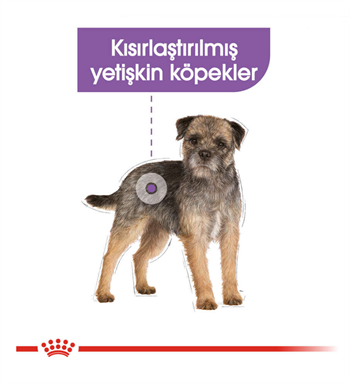 Royal Canin Mini Sterilised Küçük Irk Kısırlaştırılmış Köpek Maması 3 Kg