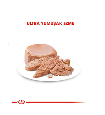 Royal Canin Mother & Babycat Instinctive Anne ve Yavru Yaş Kedi Maması 195 Gr. 1 Adet