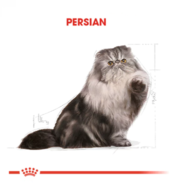 Royal Canin Persian Adult Yetişkin Kedi Maması 10 Kg