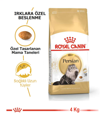 Royal Canin Persian Adult Yetişkin Kedi Maması 4 Kg