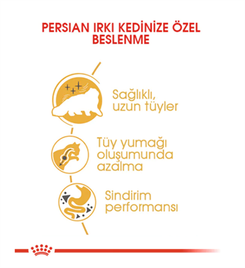 Royal Canin Persian Adult Yetişkin Kedi Maması 4 Kg