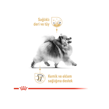 Royal Canin Pomeranian Adult Yetişkin Köpek Maması 1.5 Kg