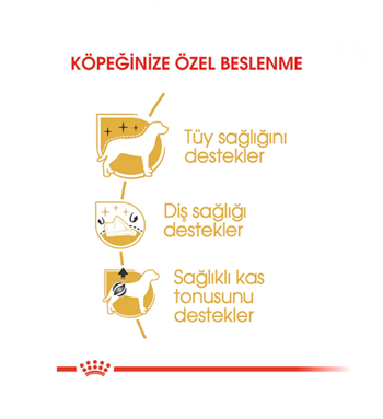 Royal Canin Poodle / Caniche Adult Yetişkin Köpek Maması 3 Kg.