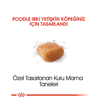 Royal Canin Poodle / Caniche Adult Yetişkin Köpek Maması 3 Kg.