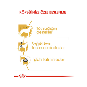 Royal Canin Poodle Pouch Yetişkin Yaş Köpek Maması 85 Gr 