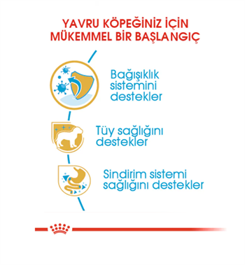 Royal Canin Poodle / Caniche Puppy Yavru Köpek Maması 3 Kg