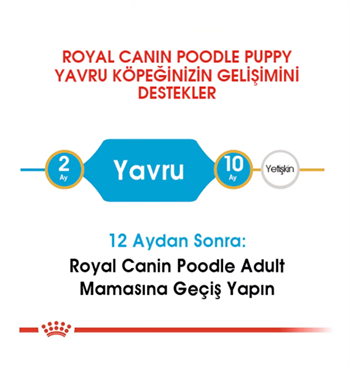 Royal Canin Poodle / Caniche Puppy Yavru Köpek Maması 3 Kg