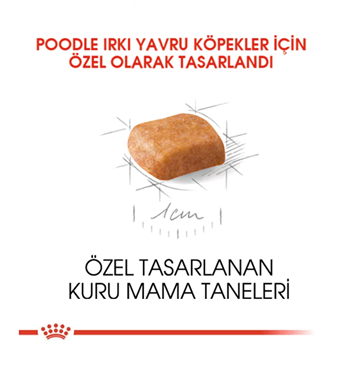 Royal Canin Poodle / Caniche Puppy Yavru Köpek Maması 3 Kg