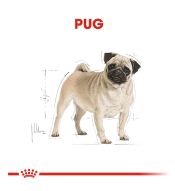 Royal Canin Pug Adult Yetişkin Köpek Maması 1.5 Kg