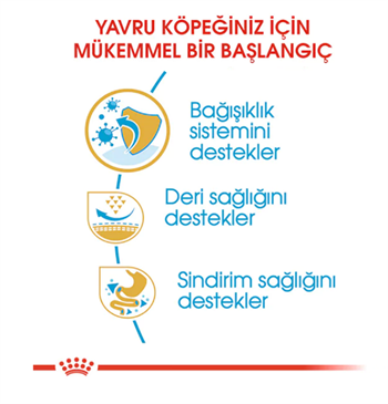 Royal Canin Pug Puppy Yavru Köpek Maması 1.5 Kg