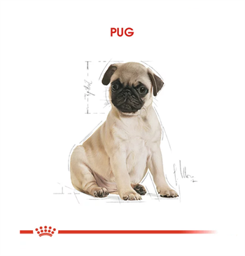 Royal Canin Pug Puppy Yavru Köpek Maması 1.5 Kg