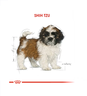 Royal Canin Shih Tzu Puppy Yavru Köpek Maması 1.5 Kg