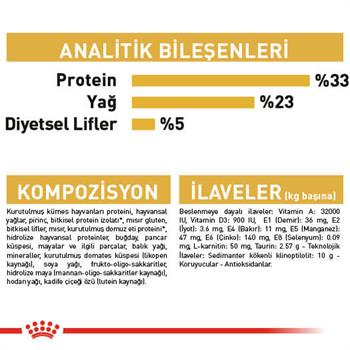 Royal Canin Sphynx Özel Irk Yetişkin Kedi Maması 2 Kg