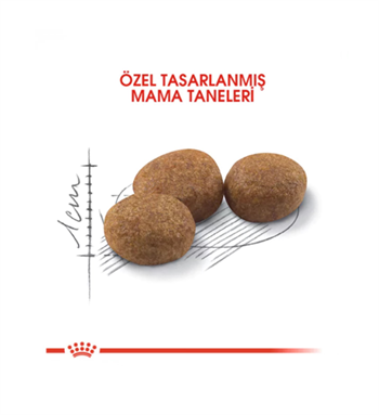 Royal Canin Sterilised Kısırlaştırılmış Yetişkin Kedi Maması 2 Kg