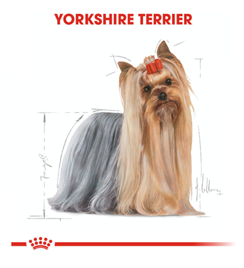 Royal Canin Yorkshire Terrier Adult Yetişkin Köpek Maması 1,5 Kg