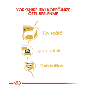 Royal Canin Yorkshire Terrier Pouch Yetişkin Köpek Yaş Maması 85 Gr