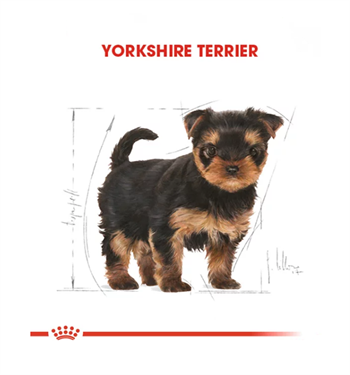 Royal Canin Yorkshire Terrier Yavru Köpek Maması 1.5 Kg