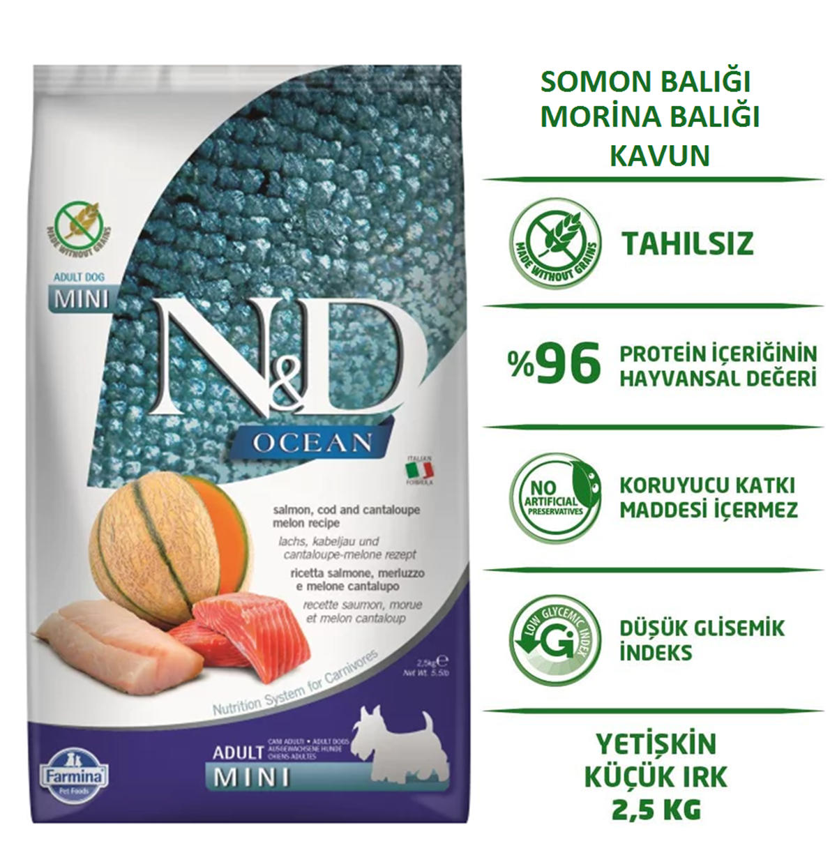 ND Ocean Somon Balıklı Morina Balıklı ve Kavunlu Tahılsız Mini Irk Yetişkin Köpek Maması 2,5 Kg