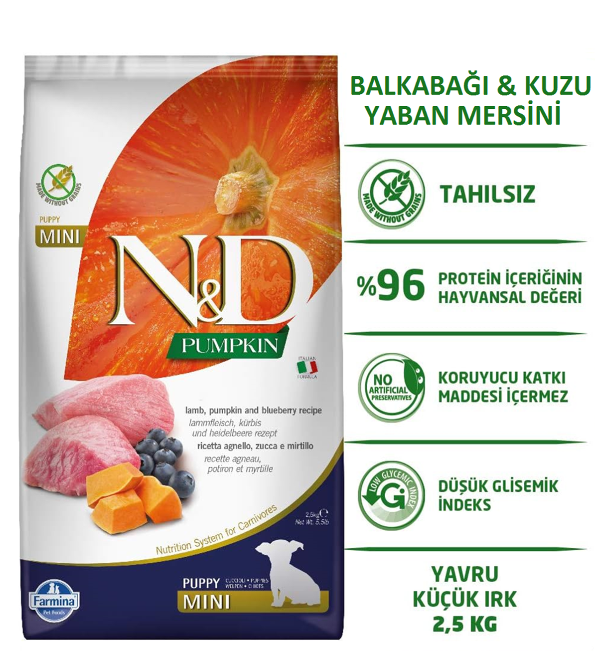 ND Pumpkin Bal Kabaklı Kuzu Etli ve Yaban Mersinli Mini Irk Tahılsız Yavru Köpek Maması 2,5 Kg