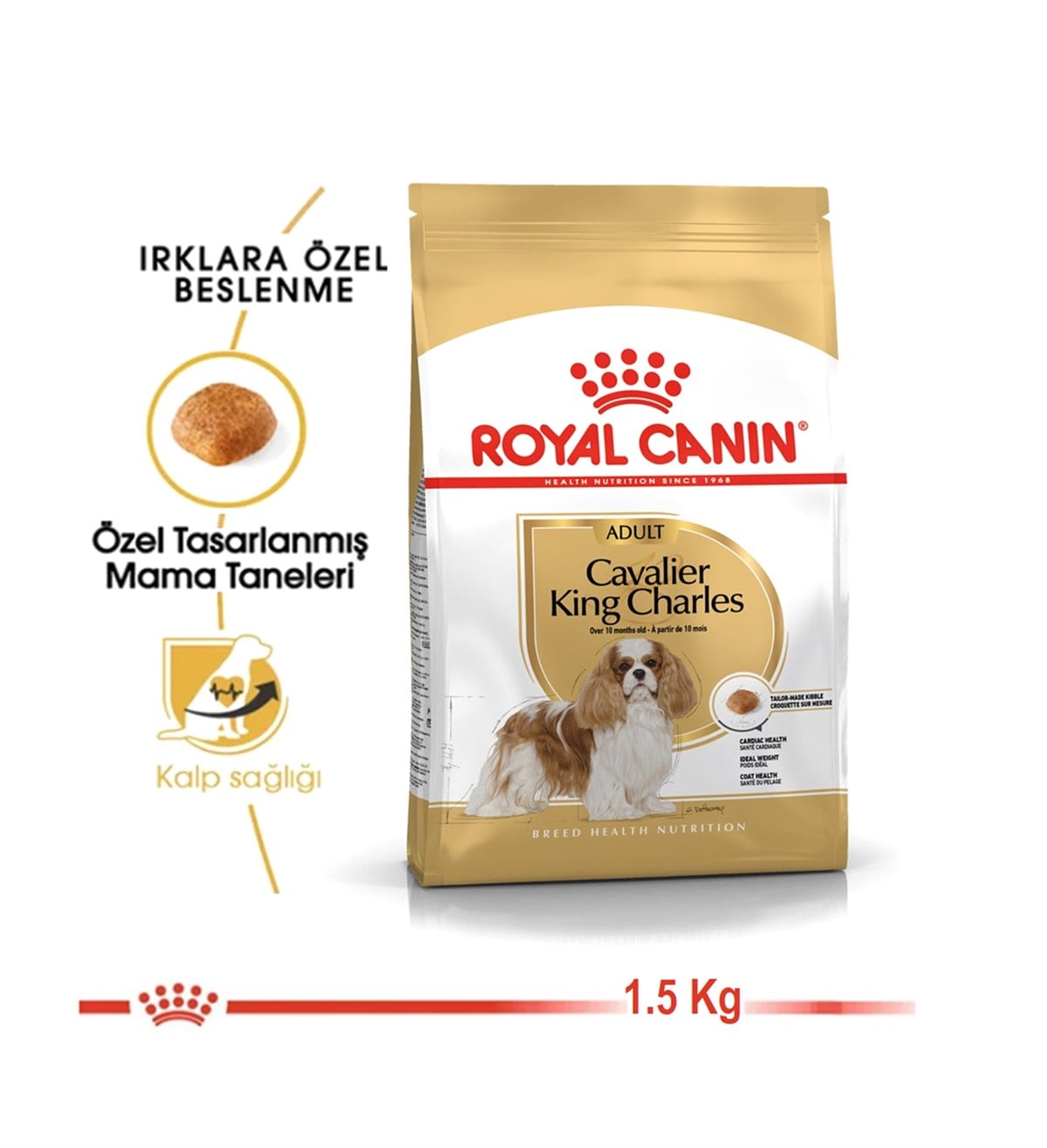 Royal Canin Cavalier Charles Adult Yetişkin Köpek Maması 1.5 Kg