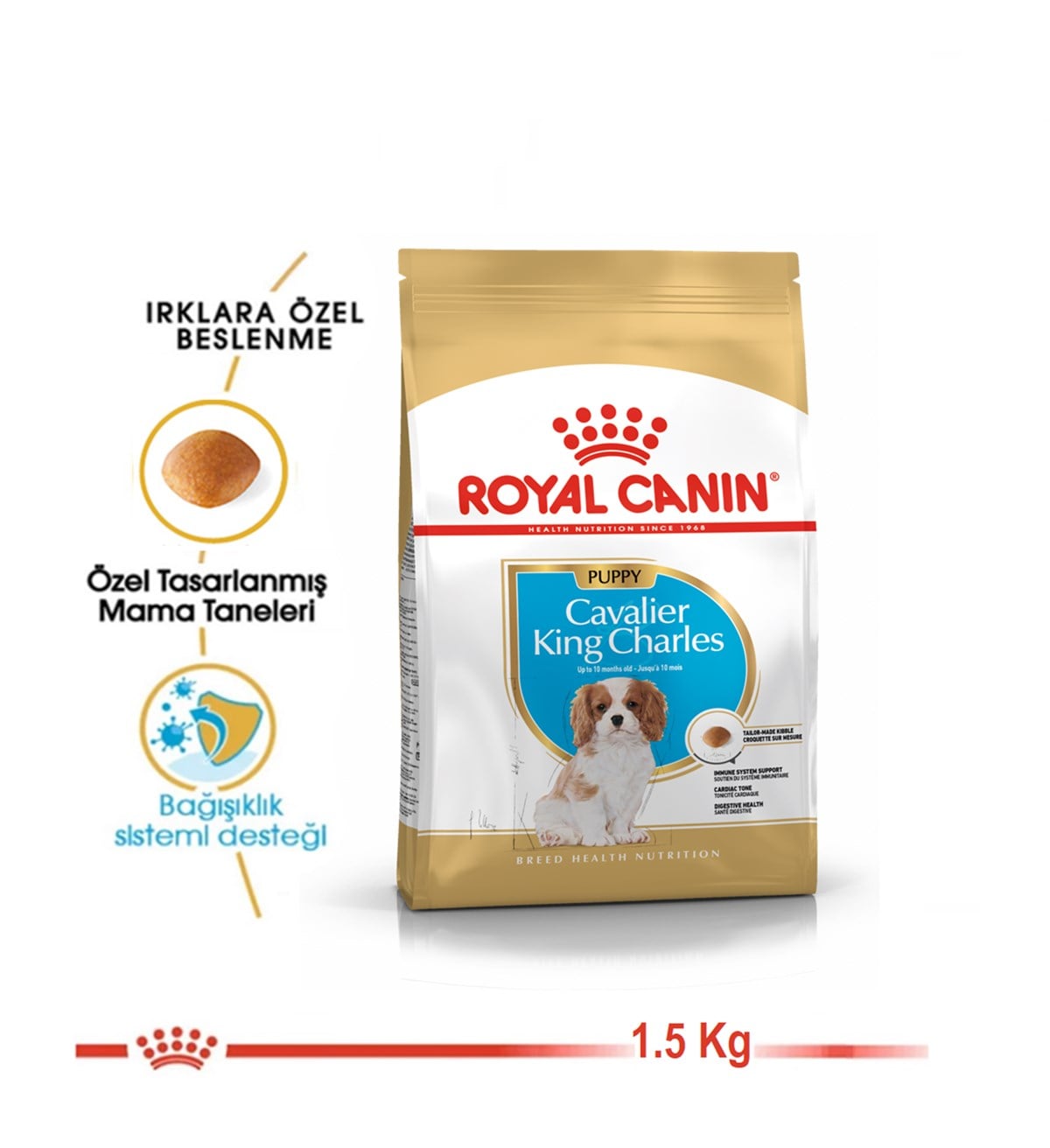 Royal Canin Cavalier King Charles Puppy Yavru Köpek Maması 1.5 Kg