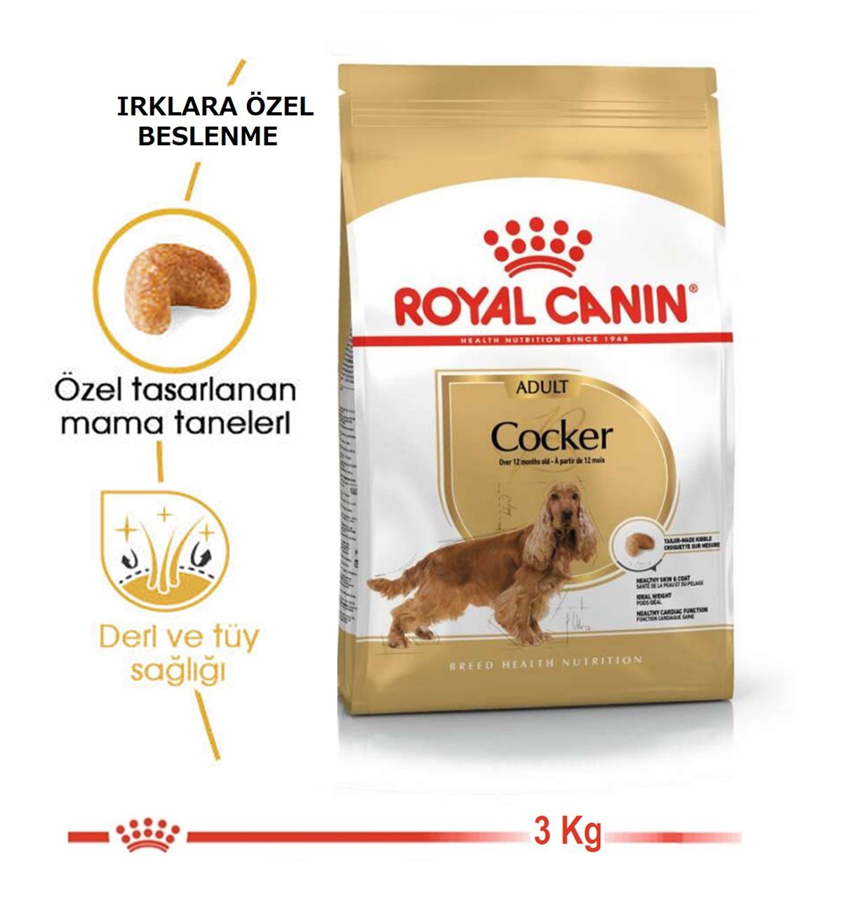 Royal Canin Cocker Spaniel 25 Adult Yetişkin Köpek Maması 3 Kg