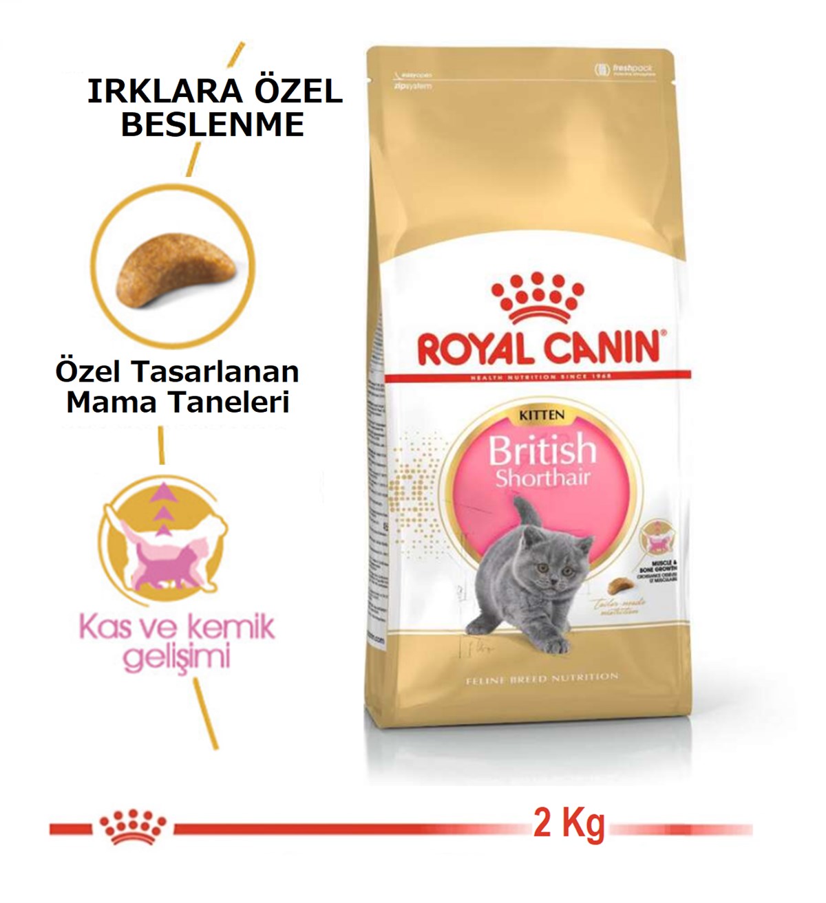 Royal Canin Feline Kitten British Shorthair Yavru Kedi Maması 2Kg