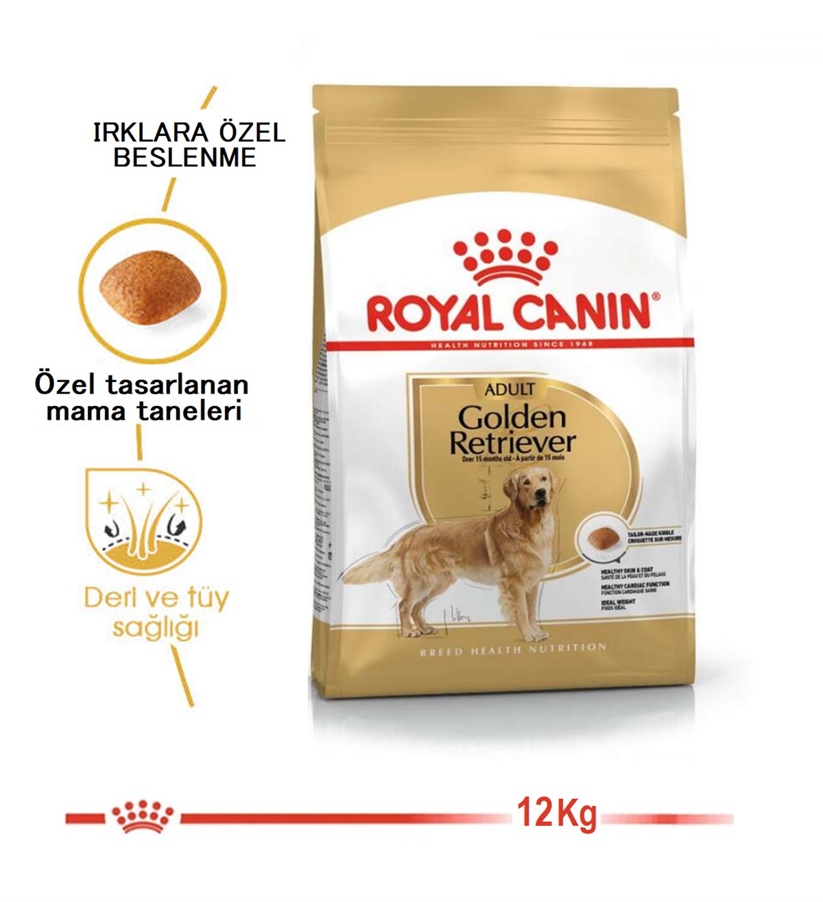 Royal Canin Golden Retriever Köpek Maması 12Kg