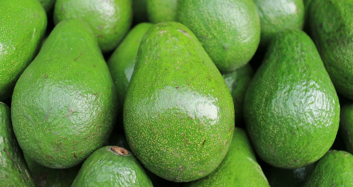 Avokado (10 adet)