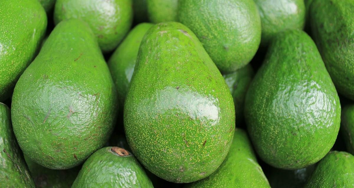Avokado (10 adet)