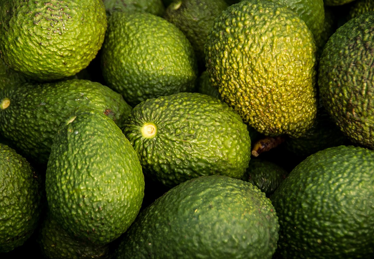 Avokado Hass (2 kg)