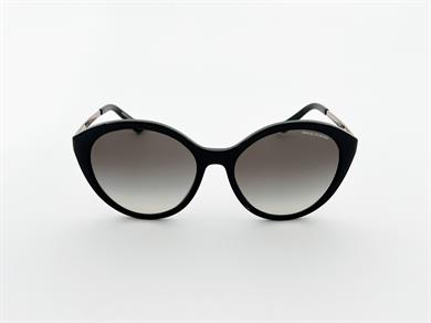 ARMANI EXCHANGE 0AX 4134S 815811 55 Kadın Güneş Gözlüğü