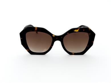 BELMOND BM 1104 02 Kadın Güneş Gözlüğü