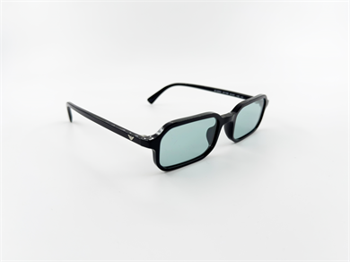 EMPORIO ARMANI 4253U 501765 54 Unisex Güneş Gözlüğü