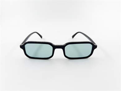 EMPORIO ARMANI 4253U 501765 54 Unisex Güneş Gözlüğü
