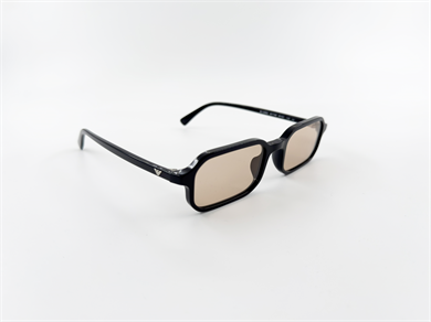 EMPORIO ARMANI 4253U 501793 54 Unisex Güneş Gözlüğü