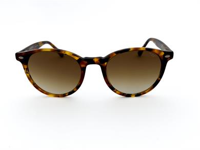 LEE COOPER LC 2401 04 Unisex Güneş Gözlüğü