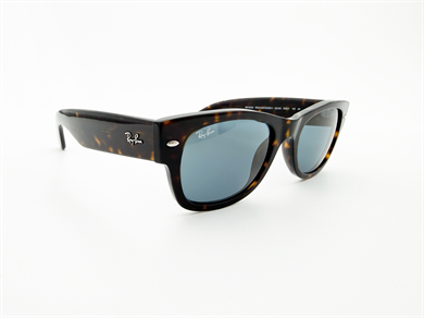 RAY-BAN 0832S 902/R5 55 Unisex Güneş Gözlüğü