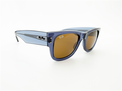 RAY-BAN 0840S 668073 51 Unisex Güneş Gözlüğü