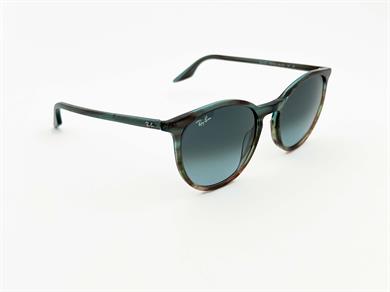 RAY-BAN 0RB 2204 1394GK 54 Unisex Güneş Gözlüğü